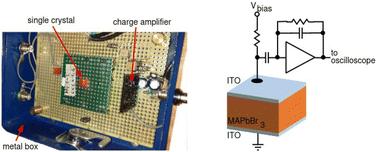 Direct detection of minimum ionizing charged particles in a perovskite single crystal detector with single particle sensitivity†