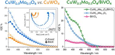 Improving the photoelectrocatalytic efficiency of CuWO4 through molybdenum for tungsten substitution and coupling with BiVO4†