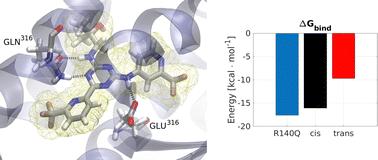 Trans vs. cis: a computational study of enasidenib resistance due to IDH2 mutations†