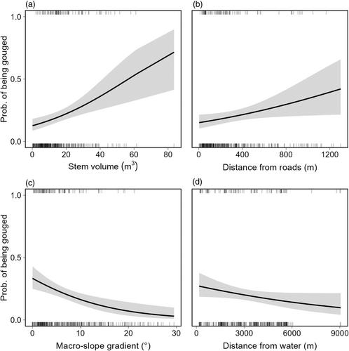 Persistence of the African baobab (Adansonia digitata L.) in a system experiencing chronic utilization by elephants