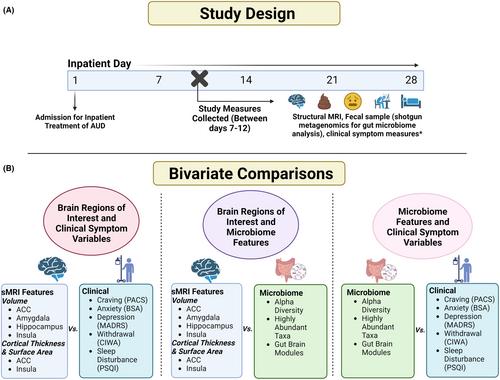 The gut-brain axis in individuals with alcohol use disorder: An exploratory study of associations among clinical symptoms, brain morphometry, and the gut microbiome