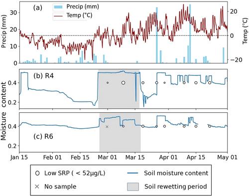 Spatiotemporal investigation of geochemical and hydrological controls on release of soluble reactive phosphorus from the shallow aquifer of a riparian zone