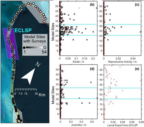 Empirical support of predicted larval connectivity patterns demand conservation action for queen conch (Aliger gigas) in The Bahamas