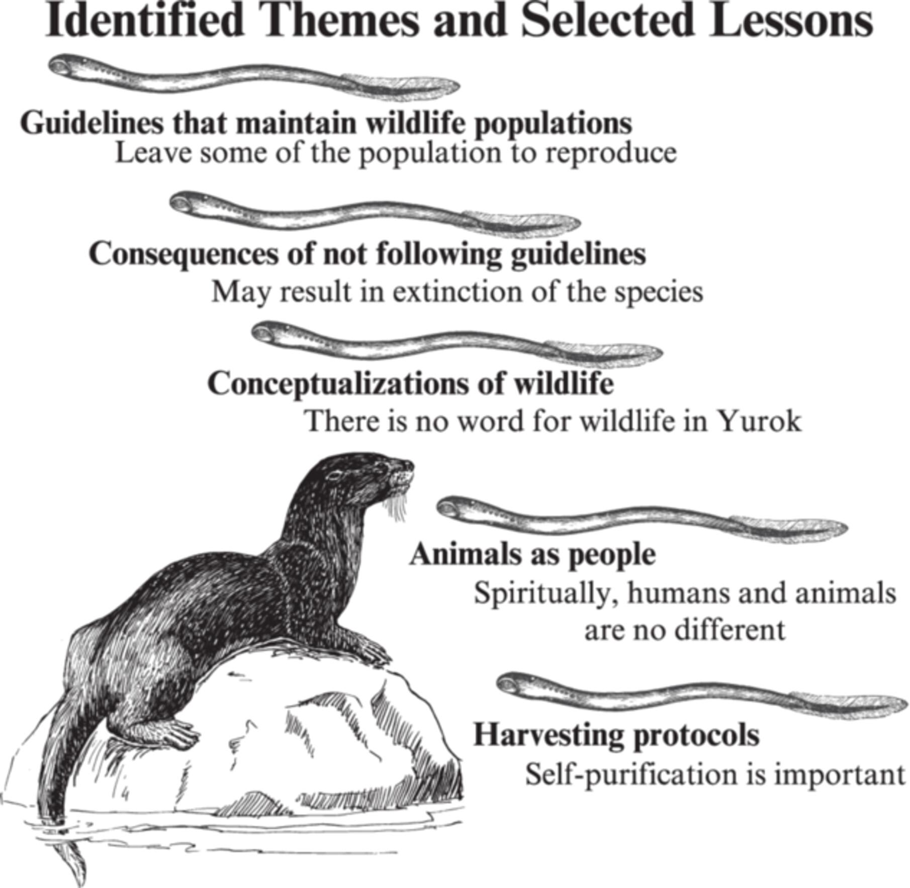 Yurok–wildlife relationship through the context of Traditional Ecological Knowledge