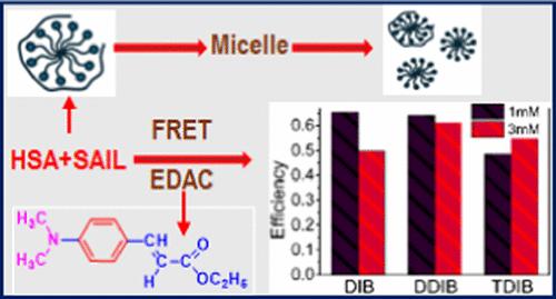 Molecular Insights into the Conformational and Binding Behaviors of Human Serum Albumin Induced by Surface-Active Ionic Liquids