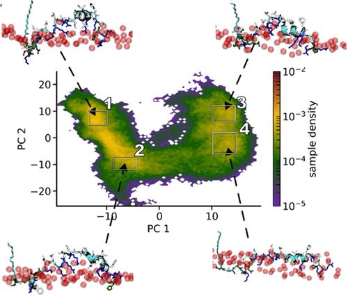 Intrinsically Disordered Membrane Anchors of Rheb, RhoA, and DiRas3 Small GTPases: Molecular Dynamics, Membrane Organization, and Interactions