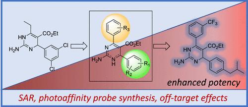Evaluation of Antibacterial Functionalized Dihydropyrimidine Photoaffinity Probes Toward Mechanism of Action Studies