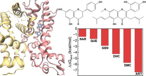 Adsorption of Flavonoids in a Transcriptional Regulator TtgR: Relative Binding Free Energies and Intermolecular Interactions