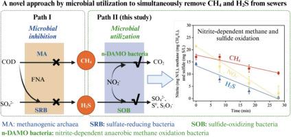 Nitrite-dependent microbial utilization for simultaneous removal of sulfide and methane in sewers