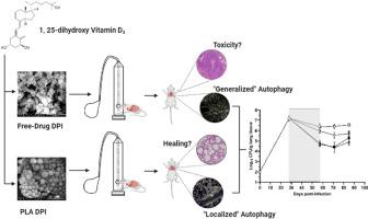 Macrophage-targeted versus free calcitriol as host-directed adjunct therapy against Mycobacterium tuberculosis infection in mice is bacteriostatic and mitigates tissue pathology