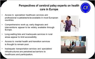 Perspectives of cerebral palsy experts on access to health care in Europe