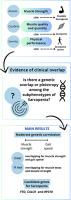 Pleiotropic effects on Sarcopenia subphenotypes point to potential molecular markers for the disease