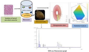 Investigating the biodesulfurization potential of isolated microbial consortia: Impact of sulfide loading, pH and oxidation-reduction potential on sulfur recovery