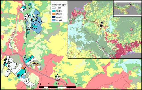 Tropical timber plantations as habitat for ground-dwelling mammals: A camera-trapping assessment in Central Panama