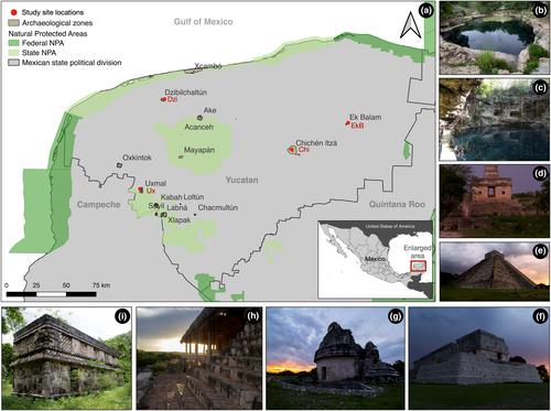 Bats and Mayan temples: Bat diversity and the potential for conservation of archeological zones in Yucatan, Mexico