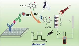 Digital multimeter-based portable photoelectrochemical immunoassay with enzyme-catalyzed precipitation for screening carbohydrate antigen 125