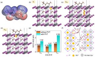 A sensitive self-powered perovskite photodetector via noise suppression with poly(vinylidene fluoride–trifluoroethylene) doping for defect passivation†