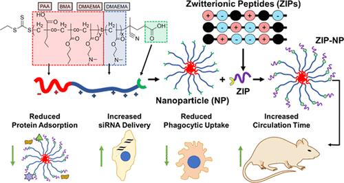 Rationally Designed Zwitterionic Peptides Improve siRNA Delivery of Cationic Diblock Copolymer-Based Nanoparticle Drug-Delivery Systems