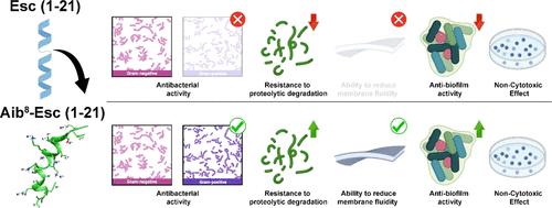 Strategic Single-Residue Substitution in the Antimicrobial Peptide Esc(1–21) Confers Activity against Staphylococcus aureus, Including Drug-Resistant and Biofilm Phenotype