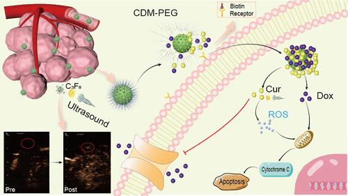 Ultrasonic Diagnosis and Treatment of Tumors Using Multifunctional Hollow Mesoporous Silicon Nanoparticles