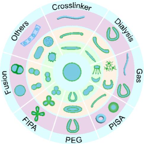 Review of Shape Transformation Pathways of Polymersomes: Implications for Nanomotor, Biomedicine, and Artificial Cell Mimics