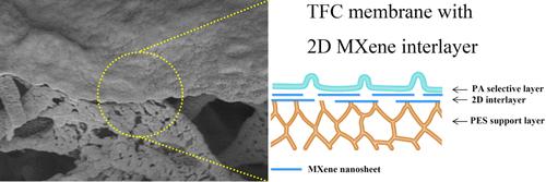 MXene Film as an Interlayer for Thin-Film Composite Membranes with High-Performance Nanofiltration