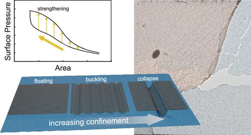 Z-Laminating Assembly of Graphene Nanoflakes for Super-Strong Membranes and Functional Coatings