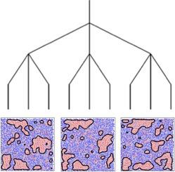 Membrane lateral organization from potential energy disconnectivity graph