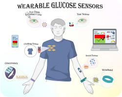 Nanomaterial-assisted wearable glucose biosensors for noninvasive real-time monitoring: Pioneering point-of-care and beyond