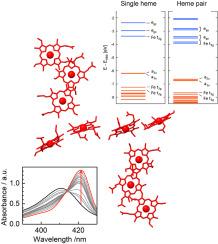 Do multiheme cytochromes containing close-packed heme groups have a band structure formed from the heme π and π∗ orbitals?