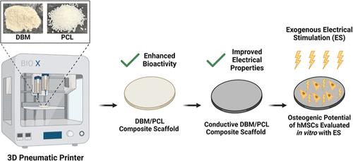 3D-Printed Demineralized Bone Matrix-Based Conductive Scaffolds Combined with Electrical Stimulation for Bone Tissue Engineering Applications