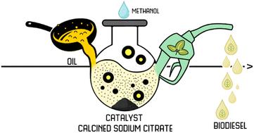 Exploiting the potential of calcined sodium citrate as a novel and efficient heterogeneous catalyst for biodiesel synthesis†