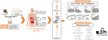 Macronutrient digestion and polyphenol bioaccessibility in oat milk tea products: an in vitro gastrointestinal tract study†