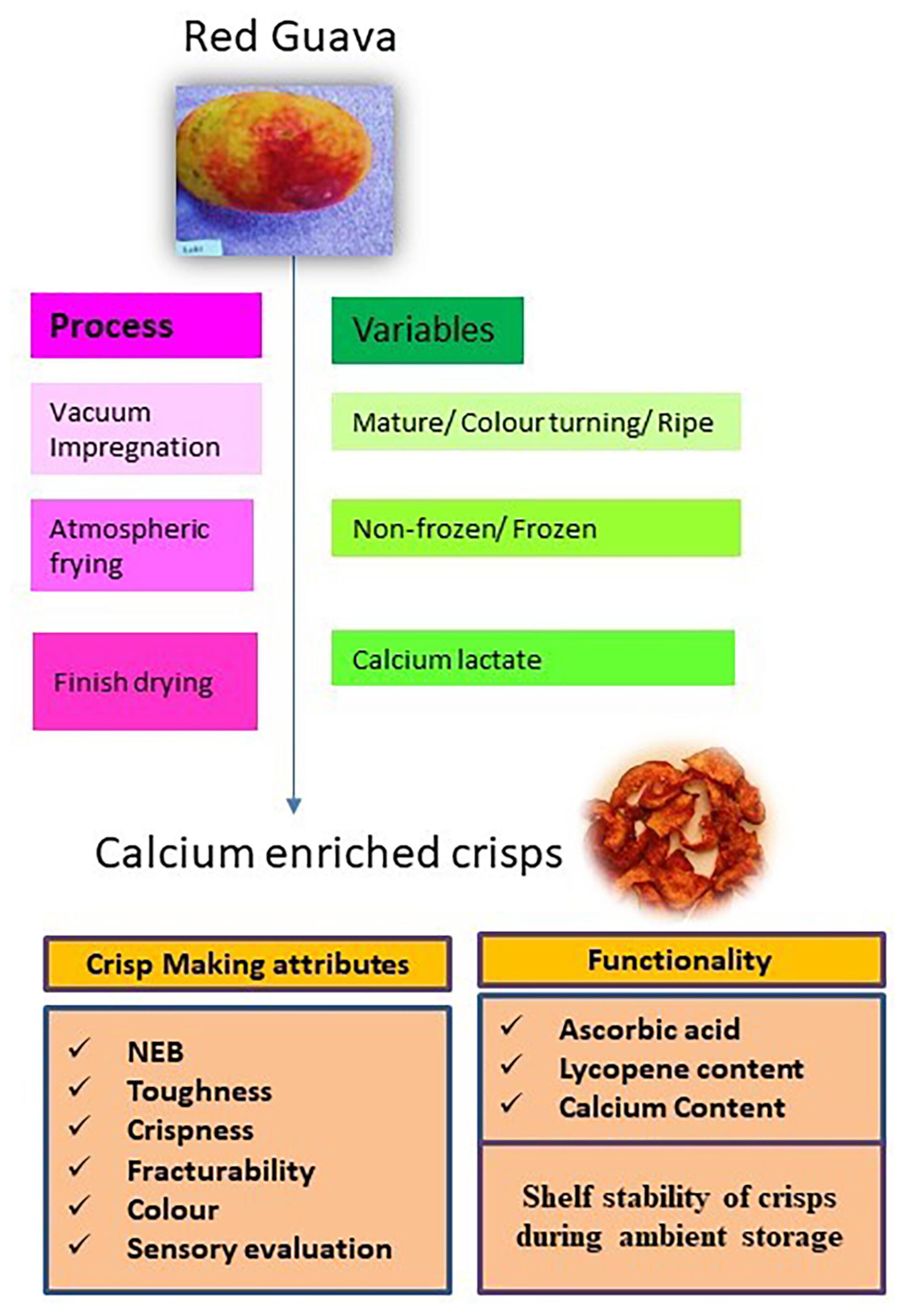 Deciphering the role of fruit maturity, calcium and freezing on the nutritional and textural attributes of crisps from red guava