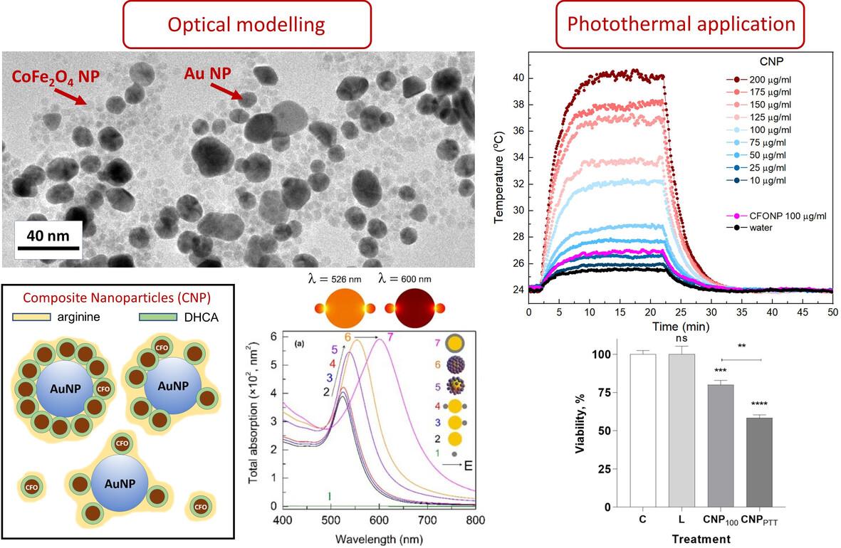 Gold/cobalt ferrite nanocomposite as a potential agent for photothermal therapy