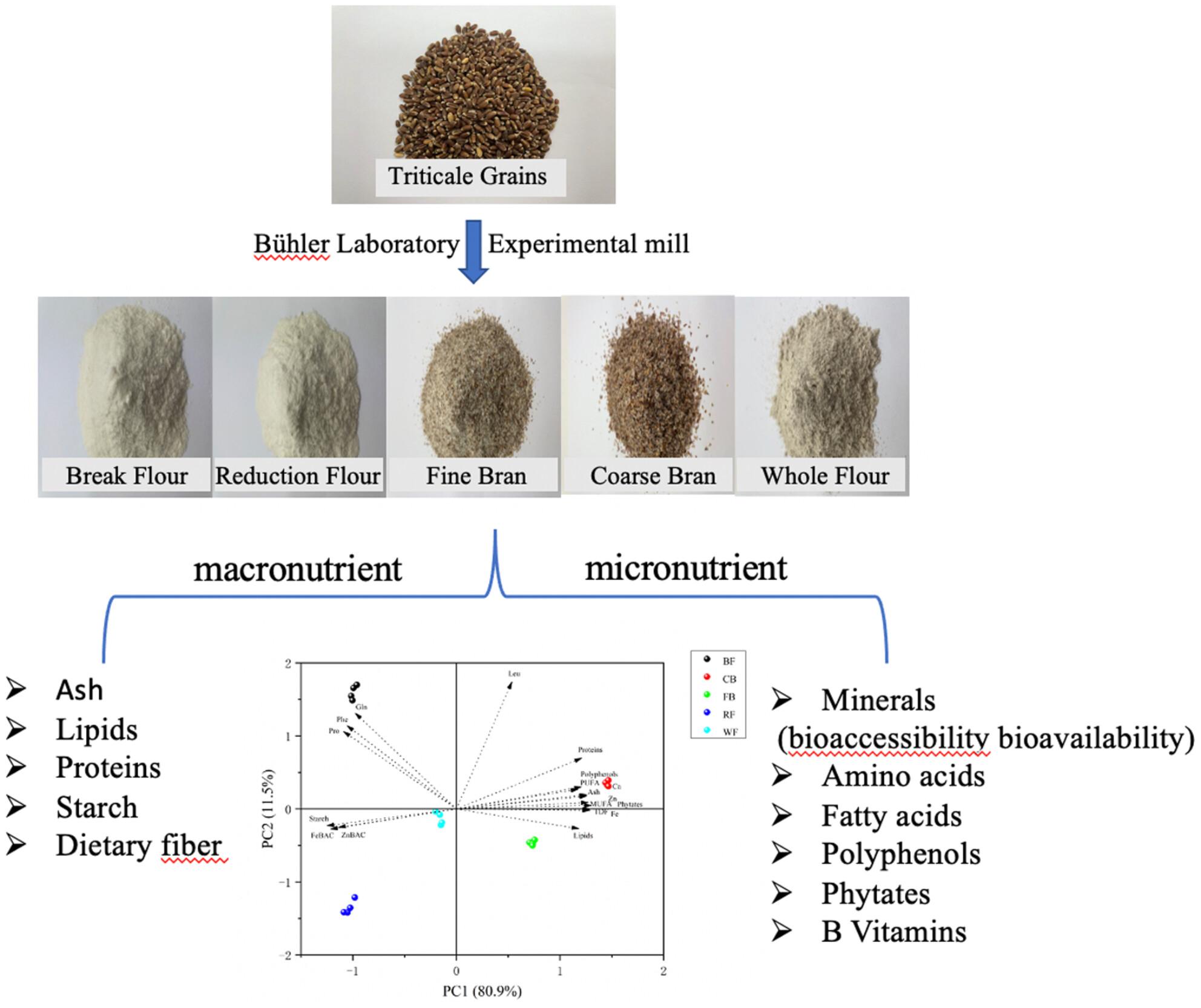 The content and distribution pattern of chemicals and bioactive compounds of triticale grains