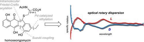 Total Synthesis of Homoseongomycin Enantiomers and Evaluation of Their Optical Rotation