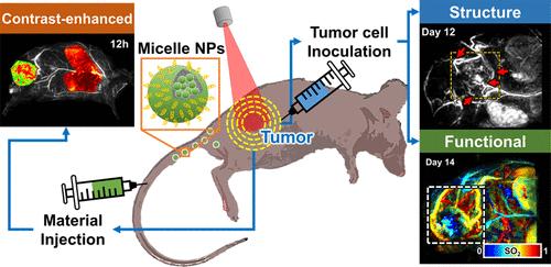 3D Multiparametric Photoacoustic Computed Tomography of Primary and Metastatic Tumors in Living Mice
