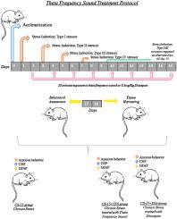 Restoration of C-type natriuretic peptide and glial fibrillary acidic protein expression in fear centers and intrinsic cardiac ganglia by theta frequency sound during chronic stress in mice