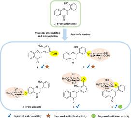 Enhancing the physicochemical properties and bioactivities of 2′-hydroxyflavanone through fungal biotransformation