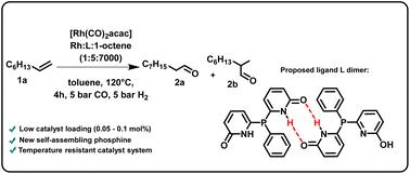 Highly (regio)selective hydroformylation of olefins using self-assembling phosphines†