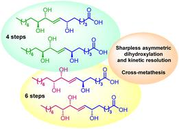 Stereoselective convergent total synthesis of oxylipins†