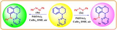 Expedient, regioselective C–H chalcogenation of 3,4-dihydro-1,4-benzoxazines using a palladium–copper catalyst†