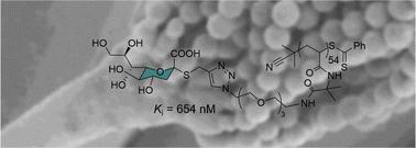 Multivalent inhibition of the Aspergillus fumigatus KDNase†