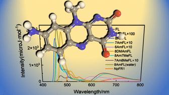 Lightening flavin by amination for fluorescent sensing†