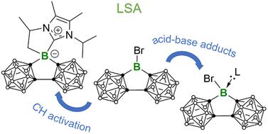 Reactivity study of Lewis superacidic carborane-based analogue of 9-bromo-9-borafluorene towards Lewis bases†