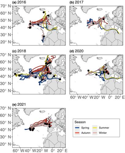 Seasonal variability of high-latitude foraging grounds for Atlantic bluefin tuna (Thunnus thynnus)