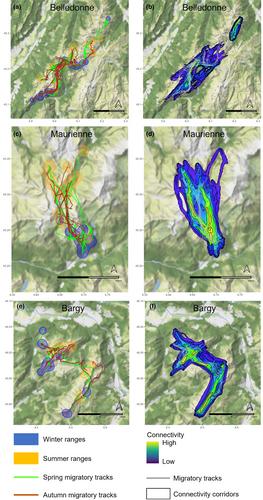 Identifying the environmental drivers of corridors and predicting connectivity between seasonal ranges in multiple populations of Alpine ibex (Capra ibex) as tools for conserving migration