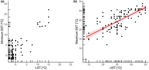 Large-scale deviations between realized and fundamental thermal niches in global seaweed distributions