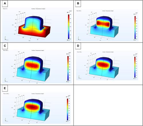 Comprehensive Evaluation of the BeShape One Device: Assessing Thermal Safety in Noninvasive Body Contouring Using Advanced Techniques